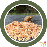 Vogelfutter "ohne Schalen"