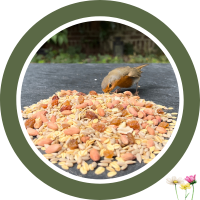 Ganzjahresfutter "schalenlos" für Wildvögel