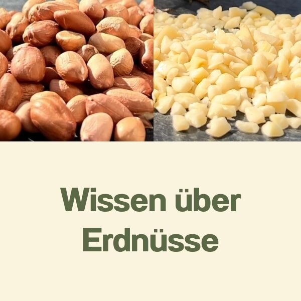 Wissen über Erdnüsse für Widlvögel