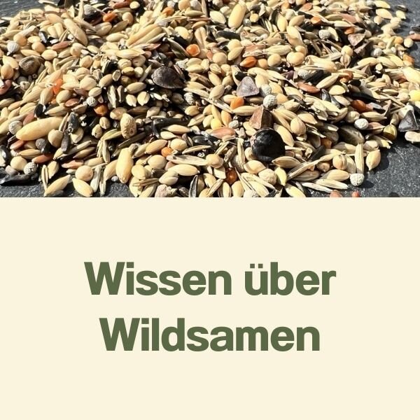 Wissen über Wildsamen für Wildvögeln