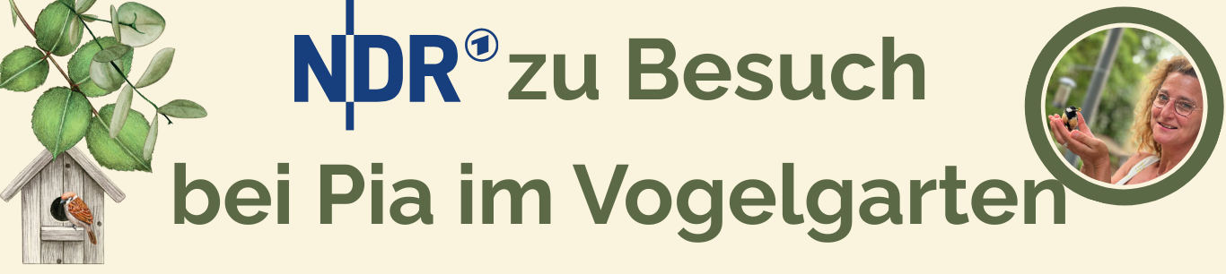 NDR zu Besuch im Vogelgarten