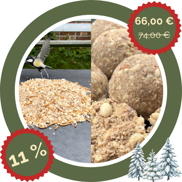 Winter Terrassen-Set: Vogelfutter + Nuss-MeisenKNÖDEL