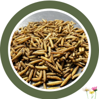 Getrocknete Soldatenlarvenfliegen (BSF) 1 kg (5 x 200 g)