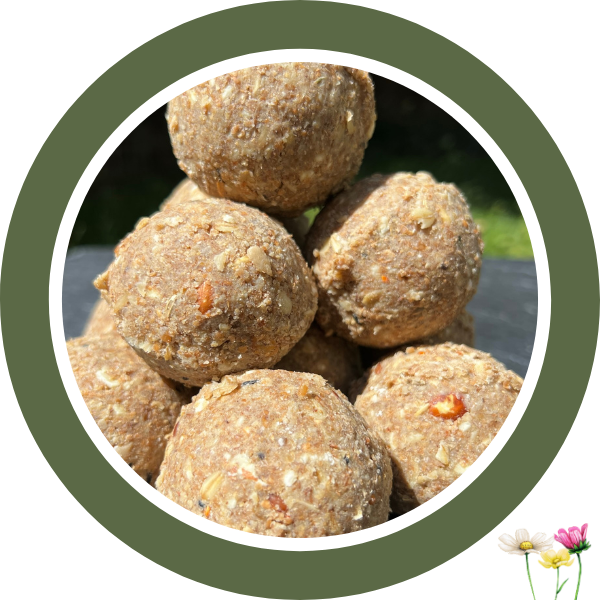 Ganzjahresknödel mit Insekten