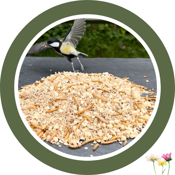 Terrassenfutter mit Insekten 2,5 kg (5 x 500 g)
