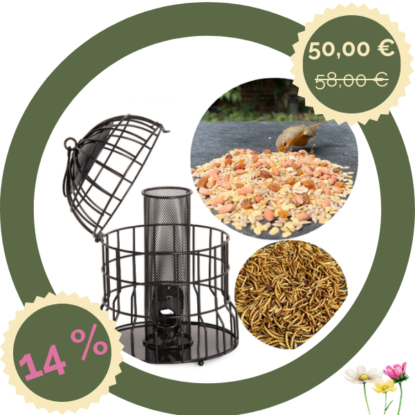 Vogelglück-Set: Futter, Futtersäule + Insekten