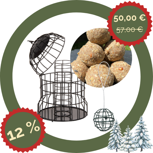 Nuss-Meisenknödel-Set + geschütztes Meisenknödelgitter + süßes Gitter