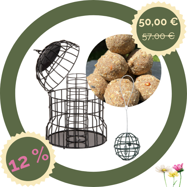 Ganzjahresknödel-Set mit Insekten + geschützter Meisenknödelhalter