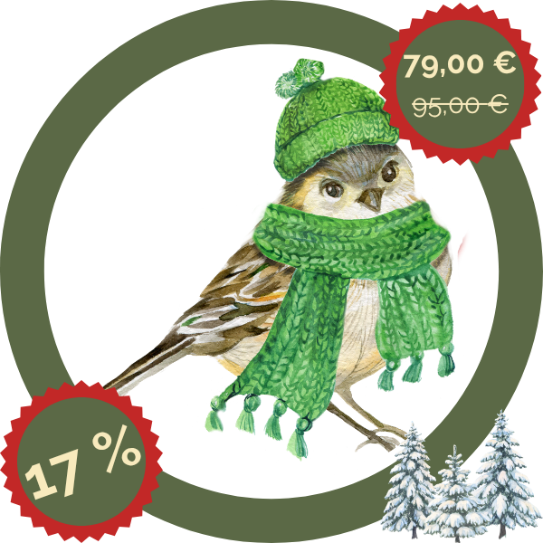 Winterliebe – Futterset für kleine Vögel: "schalenlos" + Futtersäule