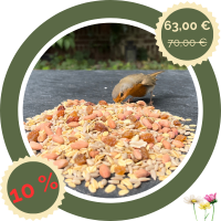 Ganzjahresfutter schalenlos 18 kg – Vogelfutter im...