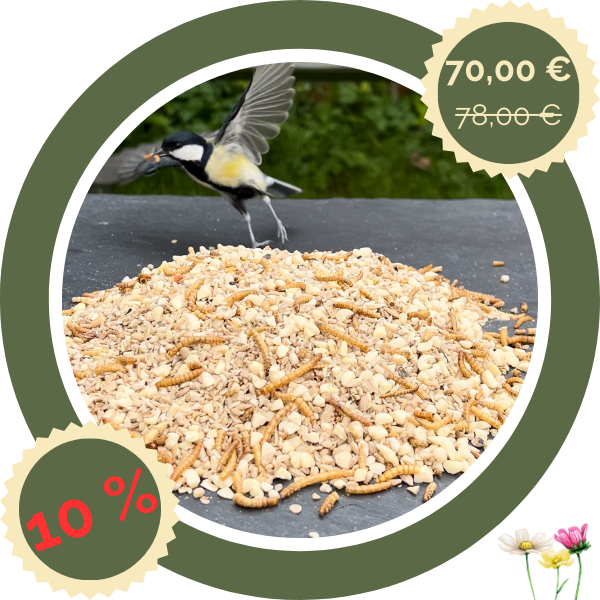 Terrassenfutter mit Insekten 18 kg – sauberes Vogelfutter im Großgebinde (2 x 9 kg)