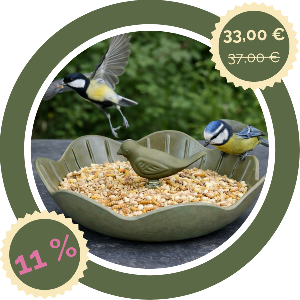 Balkon-Komplettset für Wildvögel – Terrassenfutter mit Insekten 4,5 kg + Balkon-Futterstelle