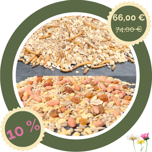 Kombi-Paket Schalenlos & Insekten – 18 kg (2x9 kg)