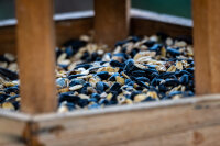 Ganzjahresfutter mit Insekten 2 x 9 kg