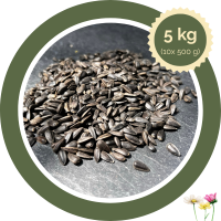 Sonnenblumenkerne schwarz 5 kg