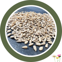 Sonnenblumenkerne geschält 500 g