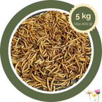 Getrocknete Mehlwürmer 5 kg