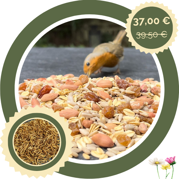 Ganzjahresfutter "schalenlos" 9 kg + 200 g getrocknete Insekten