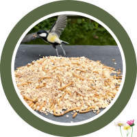 Terrassenfutter mit Insekten 9 kg